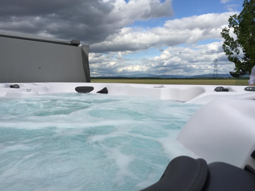 הוילה Nambsheim L'Atelier 4 Stars Luxury, Hot Tub, Pool חדר תמונה